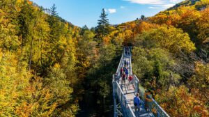 Der Baumwipfelpfad Bad Harzburg